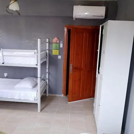Funky Monkey Hostel&pub Хостел